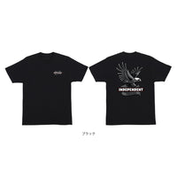 LIBERTY S/S REGULAR T-SHIRT