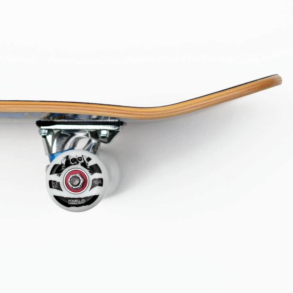 7.75in x 31.08in CAB CHINESE DRAGON SKATEBOARD COMPLETE ROYAL BLUE