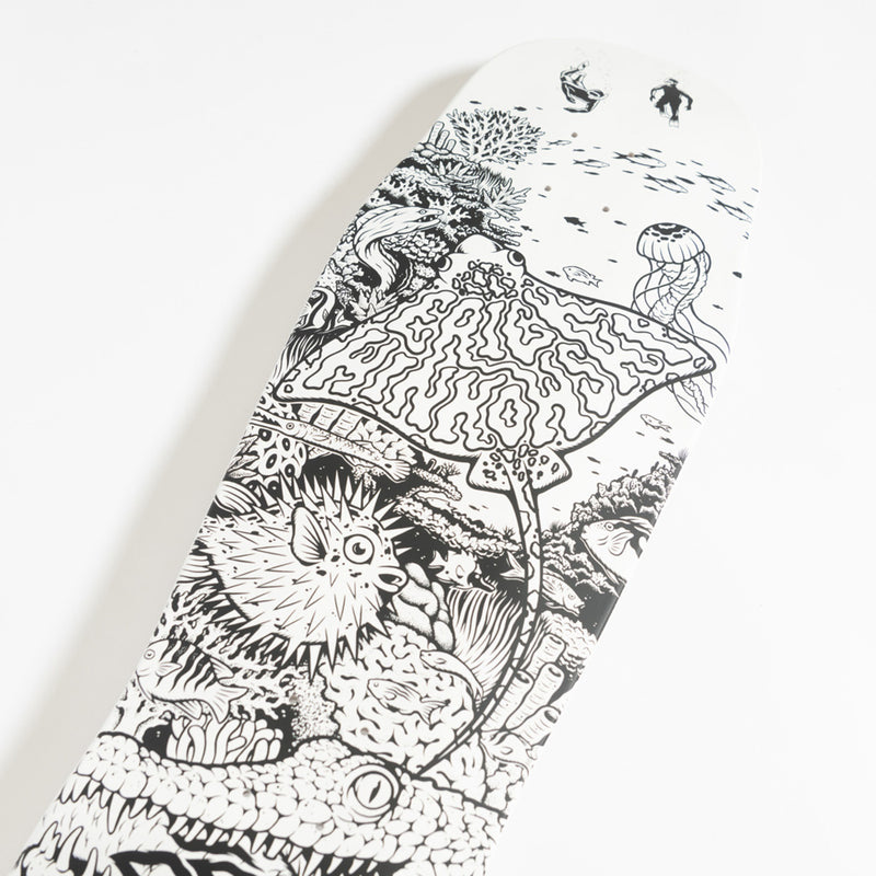 10.34in x 30.54in WINKOWSKI AQUATIC MY COLORWAY PRO SKATEBOARD DECK