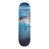 8.38in x 31.125in TERP POOL SCENE SKATEBOARD DECK