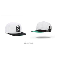 6 PANEL CAP