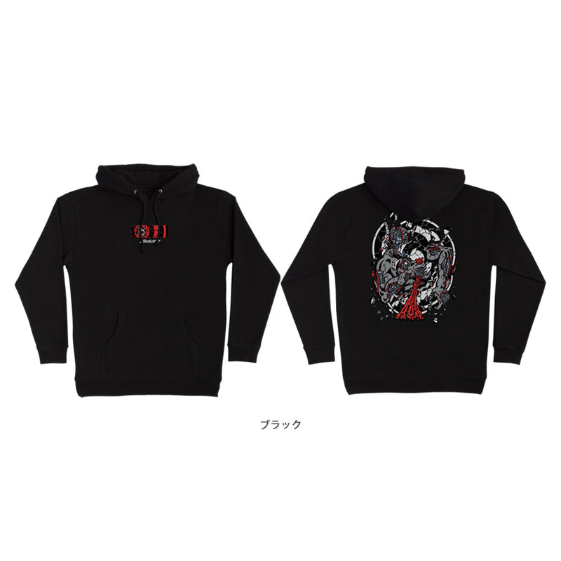 ROSKOPP DISSECT P/O HOODED SWEATSHIRT
