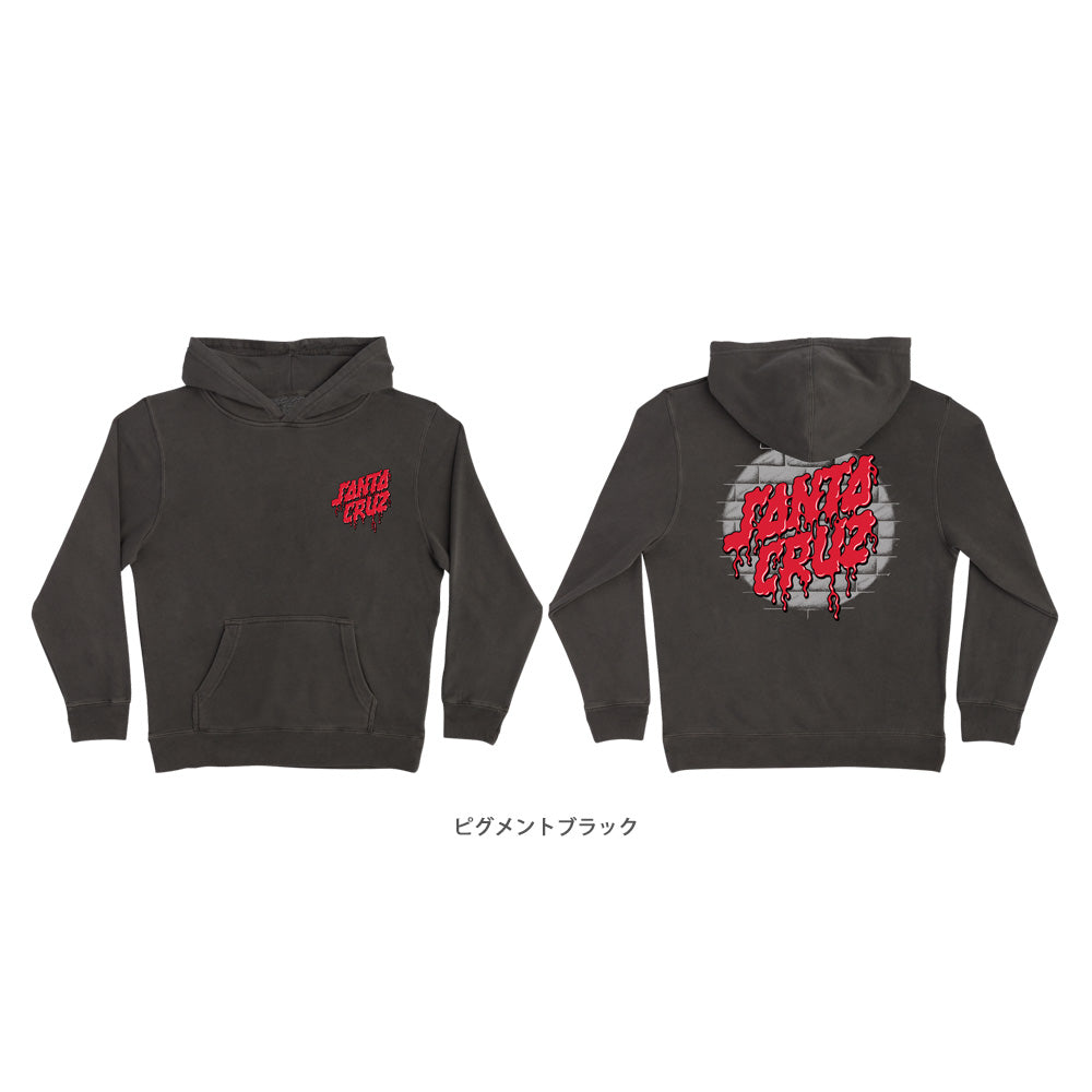 DELFINO SPOTLIGHT DOT P/O HOODED SWEATSHIRT YOUTH
