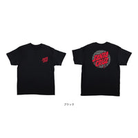 DELFINO SPOTLIGHT DOT S/S REGULAR T-SHIRT