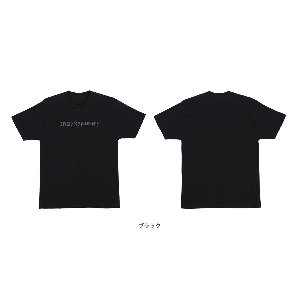 VANDAL S/S REGULAR T-SHIRT