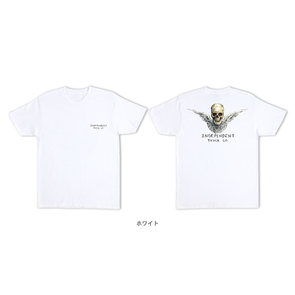 AFTERLIGHT S/S REGULAR T-SHIRT
