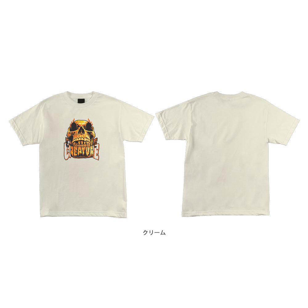 BEYOND REGULAR S/S SHIRT