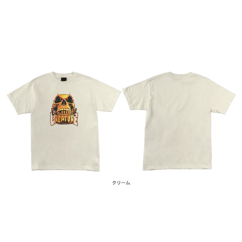 BEYOND REGULAR S/S SHIRT