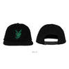 DROP OUT SNAPBACK HAT