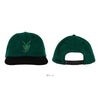 DROP OUT SNAPBACK HAT