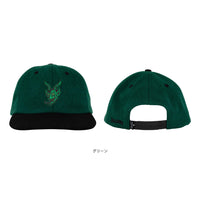 DROP OUT SNAPBACK HAT
