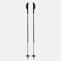 Talon Pro Splitboard Poles 25-26