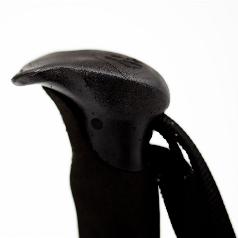 Talon Pro Splitboard Poles 25-26