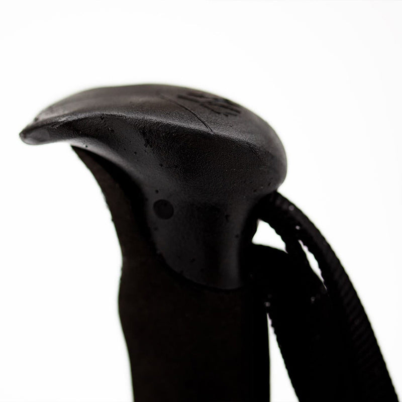 Talon Pro Splitboard Poles 25-26