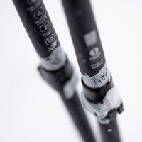 Talon Pro Splitboard Poles 25-26