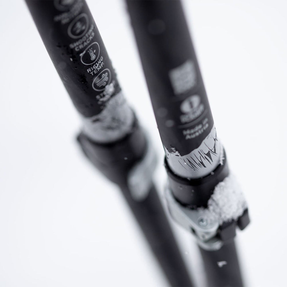 Talon Pro Splitboard Poles 25-26