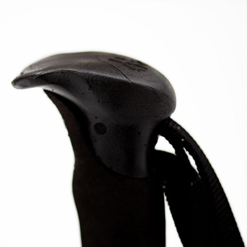 Talon Splitboard Poles 25-26